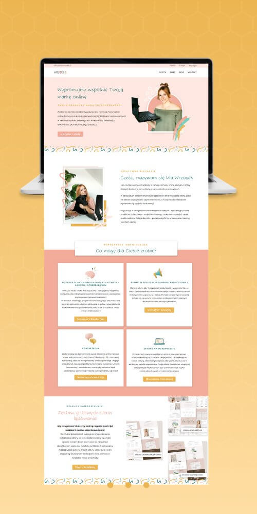 tworzenie platform kursowych dla marki własnej